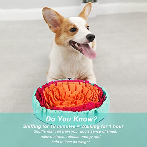 Interactive Snuffle Mat for Poodles and Dogs