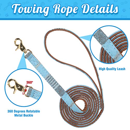 BINGPET Plaid Bow Tie Dog Collar and Leash Set