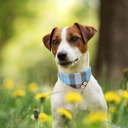 BINGPET Plaid Bow Tie Dog Collar and Leash Set