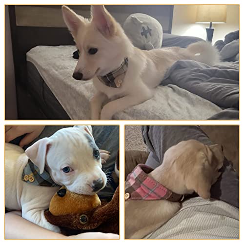 BINGPET Plaid Bow Tie Dog Collar and Leash Set