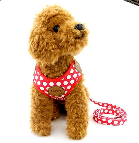 Poodle Harness and Leash Set in Red Polka Dots