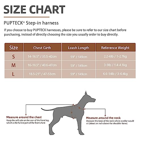 PUPTECK Soft Mesh Dog Harness and Leash Set