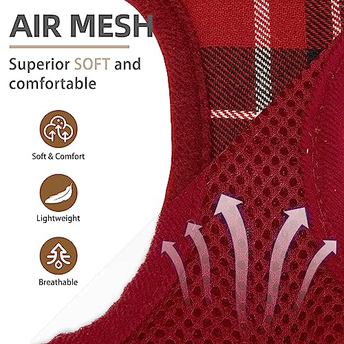 PUPTECK Soft Mesh Dog Harness and Leash Set