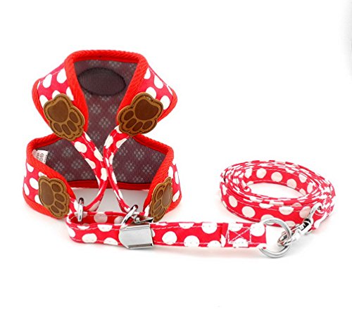 Poodle Harness and Leash Set in Red Polka Dots