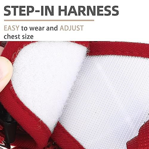 PUPTECK Soft Mesh Dog Harness and Leash Set