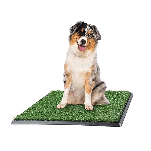 PETMAKER Indoor Puppy Potty Trainer 20x25