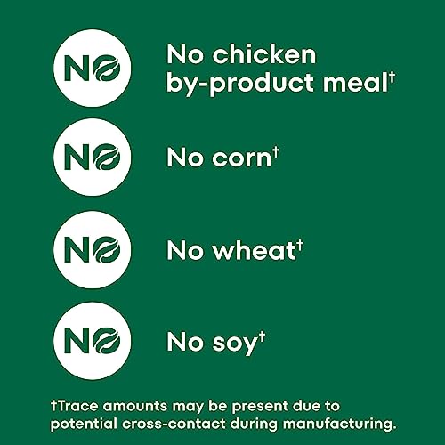 Nutro Core Small Bites Lamb & Rice Dog Food