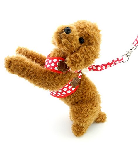 Poodle Harness and Leash Set in Red Polka Dots