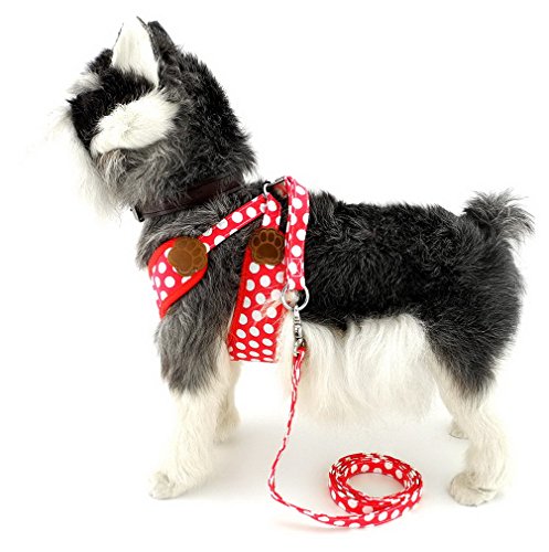 Poodle Harness and Leash Set in Red Polka Dots