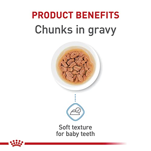 Royal Canin Chihuahua Loaf in Gravy Dog Food