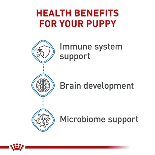 Royal Canin Chihuahua Loaf in Gravy Dog Food