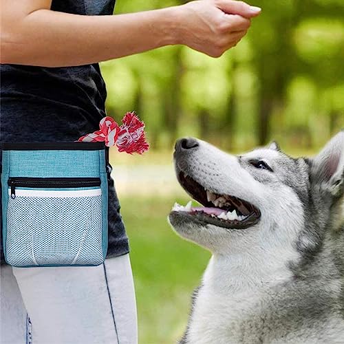 Dog Treat Pouch and Clicker Training Kit