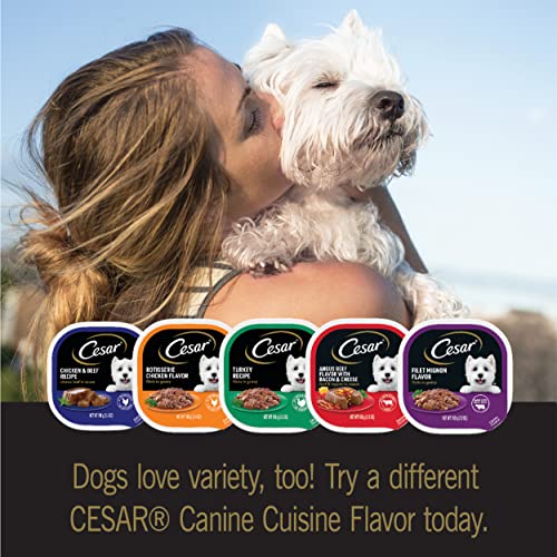 Cesar Soft Wet Dog Food Poultry Variety Pack