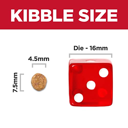 Hill's Science Diet Chicken Recipe Dry Dog Food