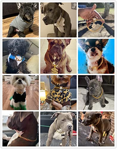 Rexiaoo Shiny Golden Poodle Chain Collar