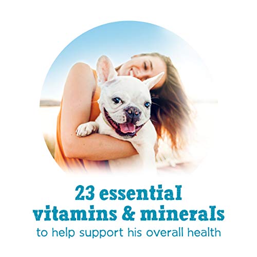 Purina Beneful Wet Dog Food Variety Pack