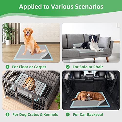 Activated Carbon Dog Pads - Extra Large 40-Count