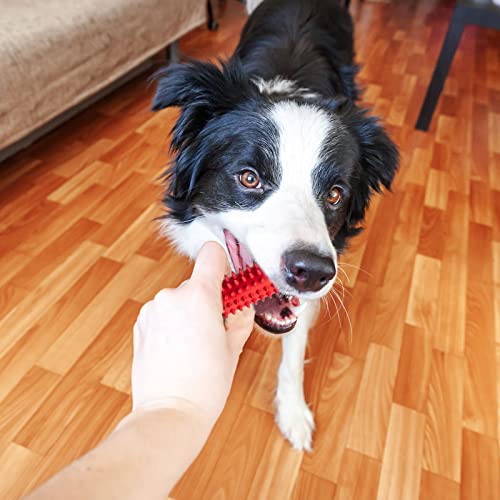 Medium Dog Chew Toy Set for Poodle Dogs