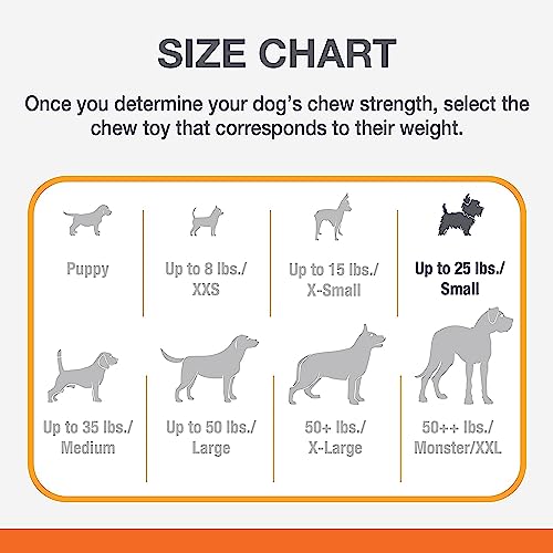 Poodle Power Chew Toy Pack - Small Dogs (3 Flavors)