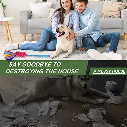 Wodoca Tough Dog Tug Toy for Aggressive Chewers