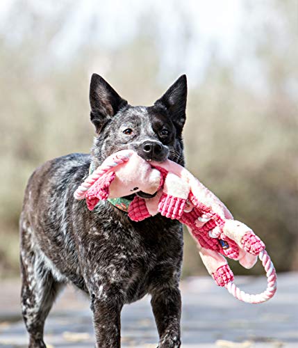 Interactive Charming Poodle Dog Tug Toy