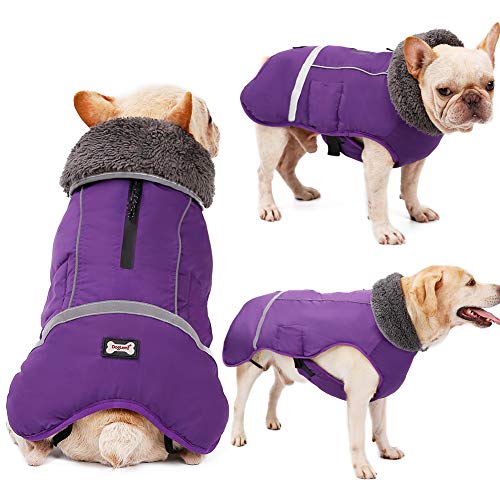 Reflective Waterproof Poodle Dog Winter Coat