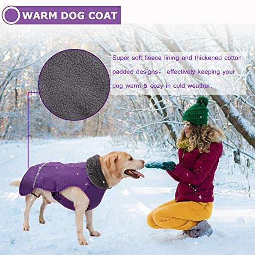 Reflective Waterproof Poodle Dog Winter Coat