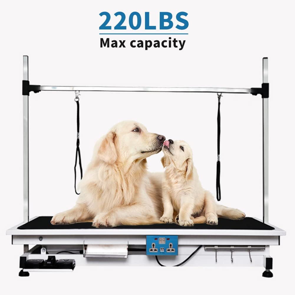 Heavy Duty Electric Poodle Grooming Table with Hydraulic Adjustments