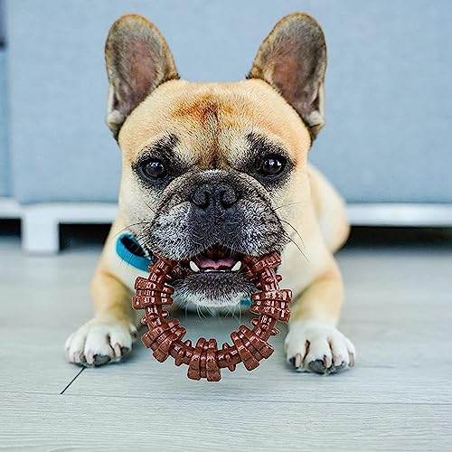 Poodle-Friendly Nylabone Chew Ring - Tough Textured Toy