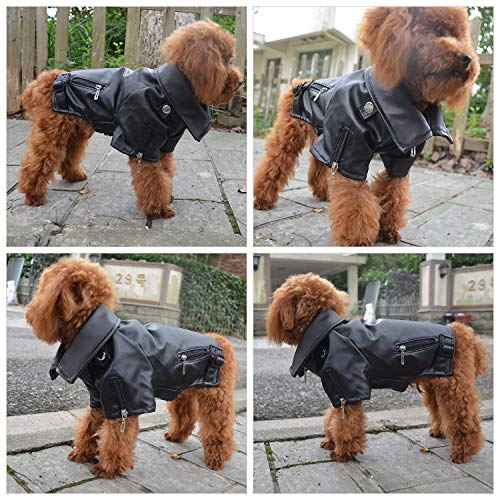 Stylish Leather Jacket for Poodles - Weatherproof & Warm