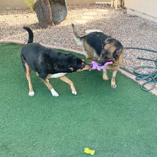 Poodle Bundle: 5 Plush Dog Toys Assortment