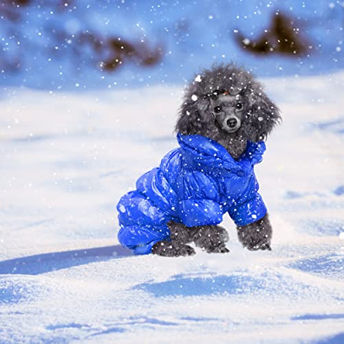Winter Coats for Small Poodles - Warm & Waterproof