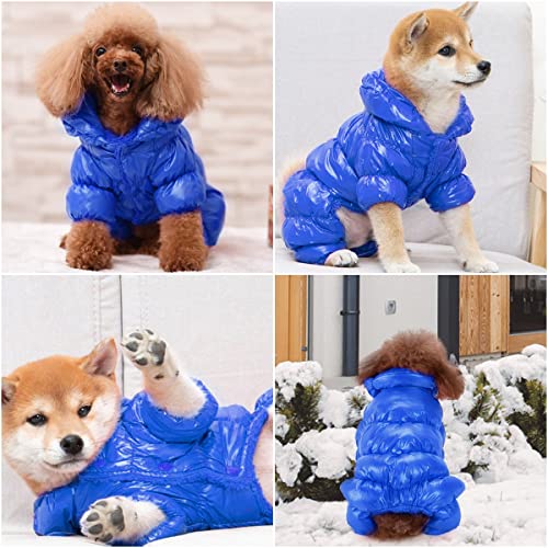 Winter Coats for Small Poodles - Warm & Waterproof