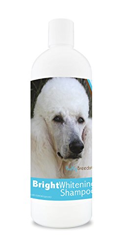 Poodle Bright Whitening Shampoo 12 oz for Health