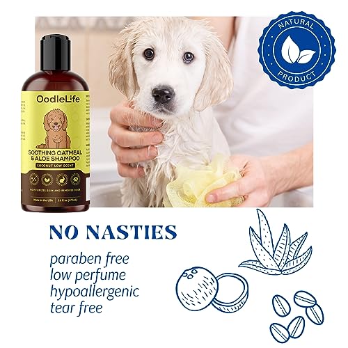 Poodle Dog Shampoo: Soothing Aloe Coconut Formula