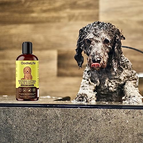 Poodle Dog Shampoo: Soothing Aloe Coconut Formula