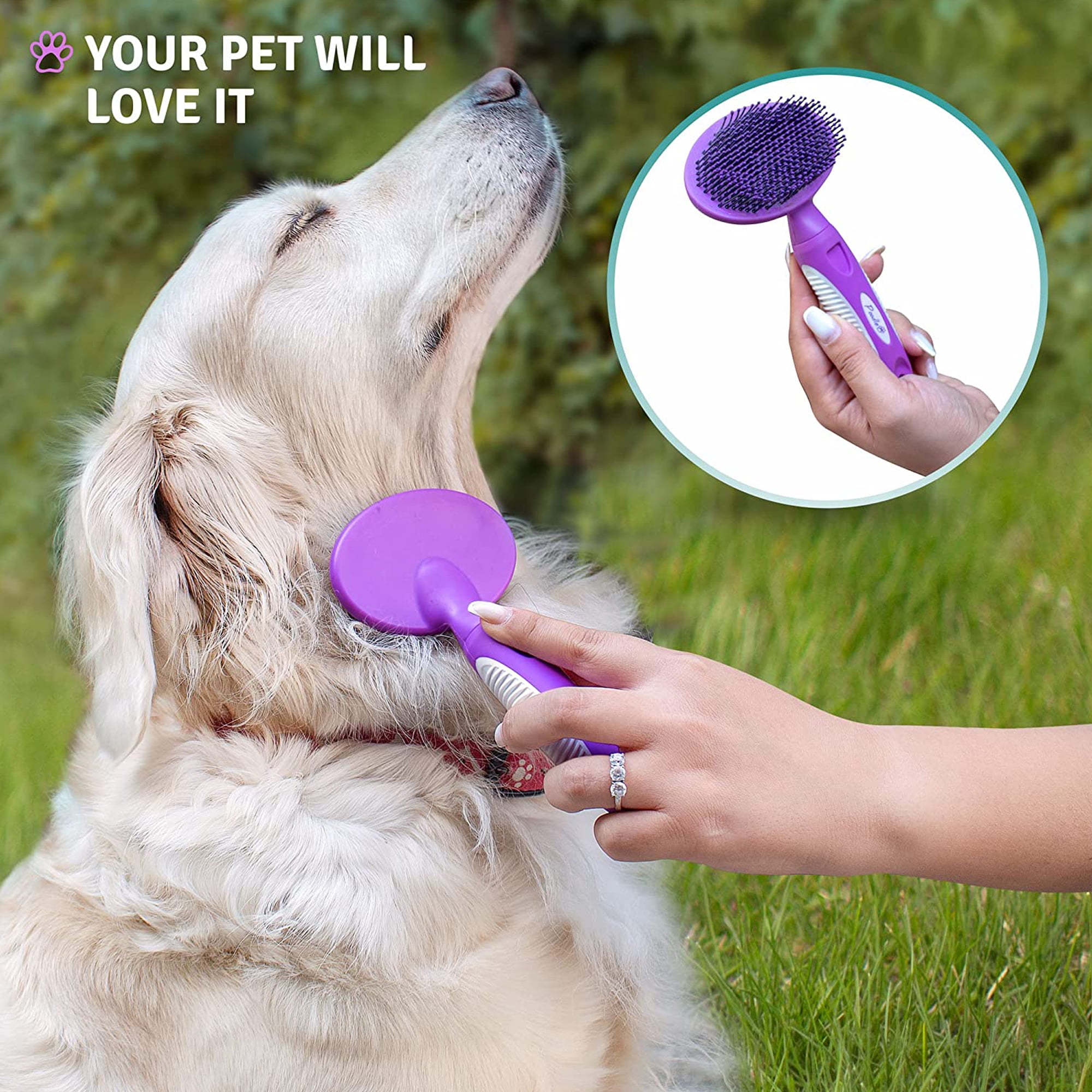 Poodle Pet Round Bristle Hair Brush: Dogs & Cats