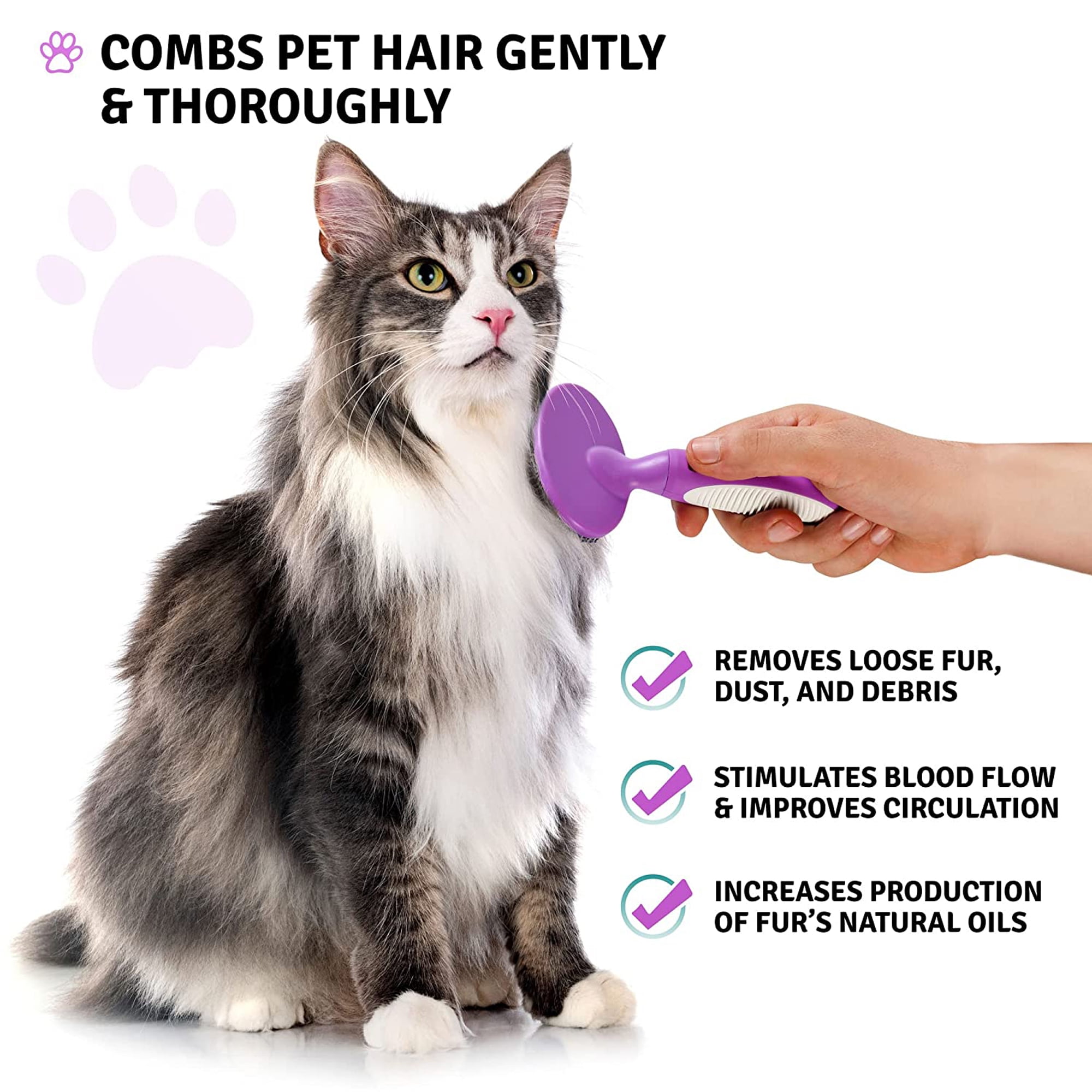 Poodle Pet Round Bristle Hair Brush: Dogs & Cats