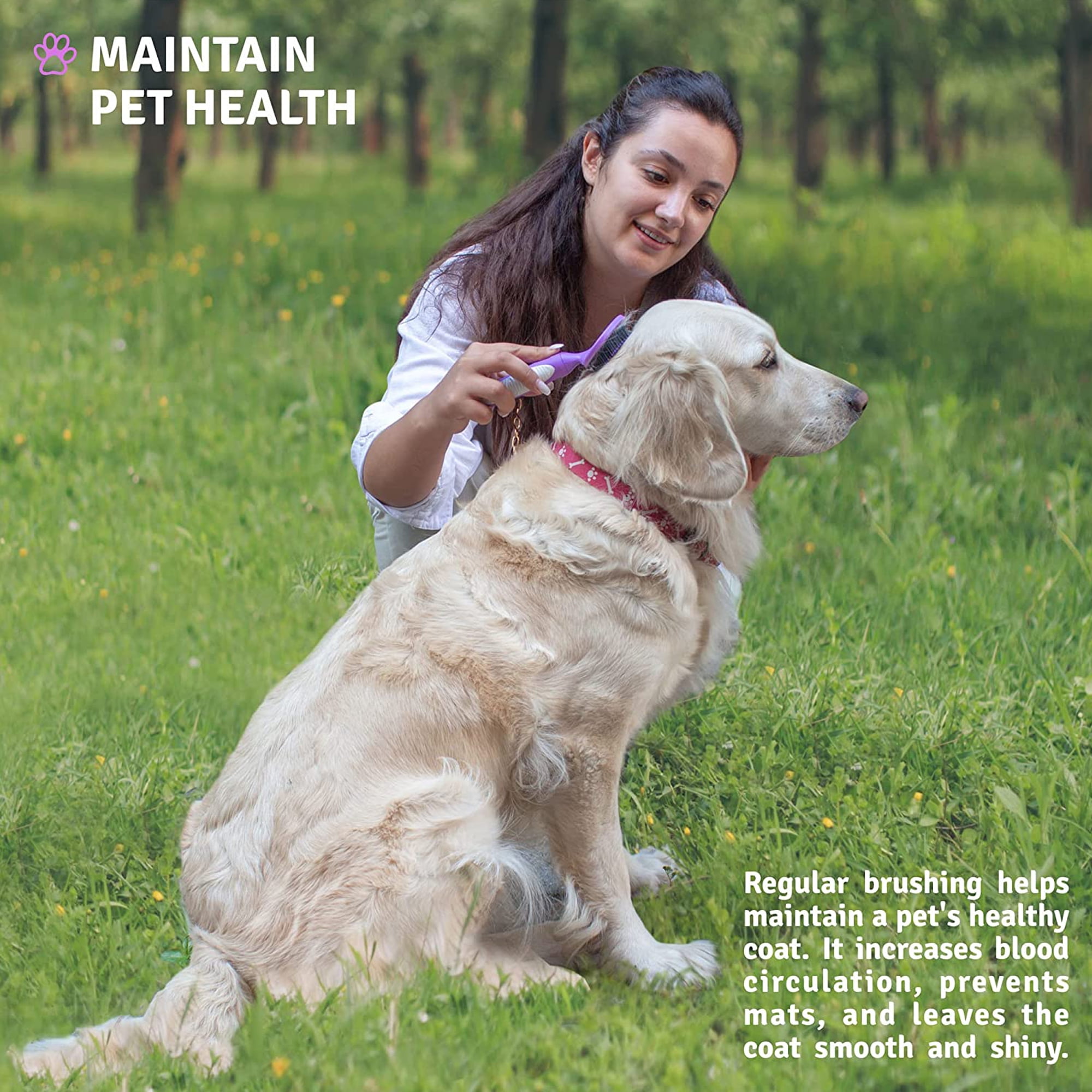 Poodle Pet Round Bristle Hair Brush: Dogs & Cats