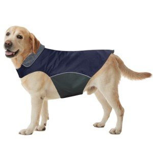 Waterproof Winter Dog Jacket for Standard Poodle (Navy)