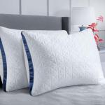 Slybear Set of 2 Luxury Hotel-Quality Pillows