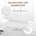 Set of 2 Soft Down Alternative Pillows