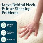 King Organic Plush Talalay Latex Pillow