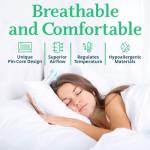 King Organic Plush Talalay Latex Pillow