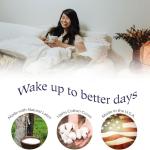 RejuveNite Medium Support Talalay Latex Pillow