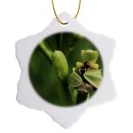 Bumblebee Orchid Snowflake Ornament from Samos, Greece