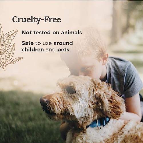 Pure Sage Candle for Manifestation & Energy Cleansing