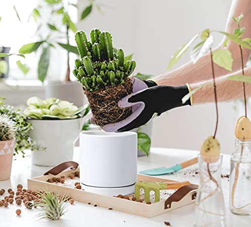 White Ceramic Planter Pot with Drainage, 6 Inch