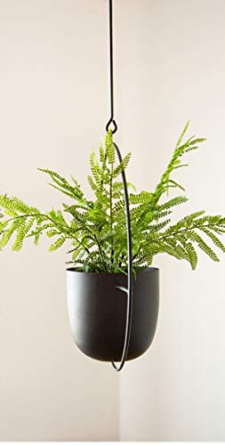 Black Metal Hanging Planter for Modern Spaces