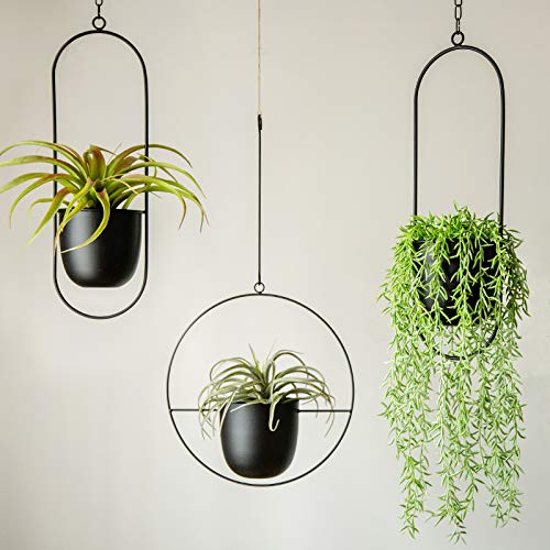Black Metal Hanging Planter for Modern Spaces